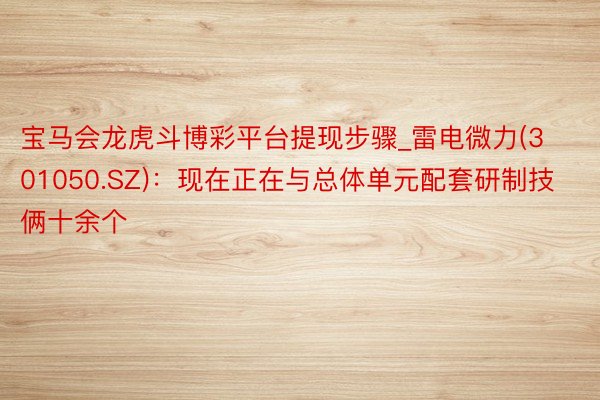宝马会龙虎斗博彩平台提现步骤_雷电微力(301050.SZ)